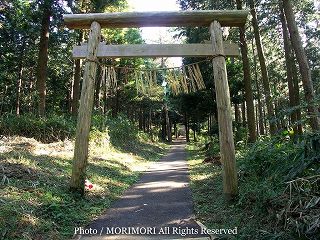 高天原遥拝所周辺の森