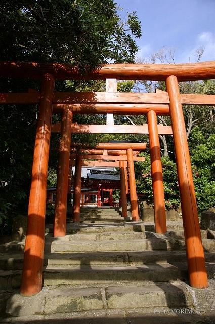 鵜戸神宮末社　稲荷神社　03