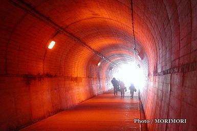 新参道の隧道
