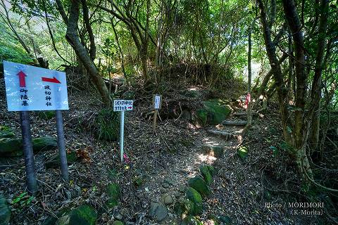 「御陵墓」「波切神社」分岐点