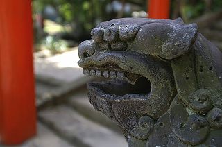 鵜戸（うど）神宮の写真Part2_鵜戸　稲荷神社前の狛犬